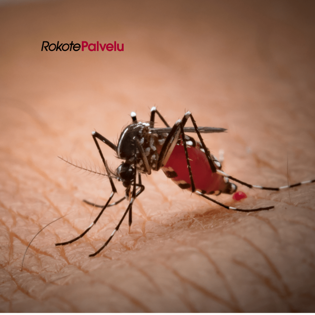 hyttynen malaria