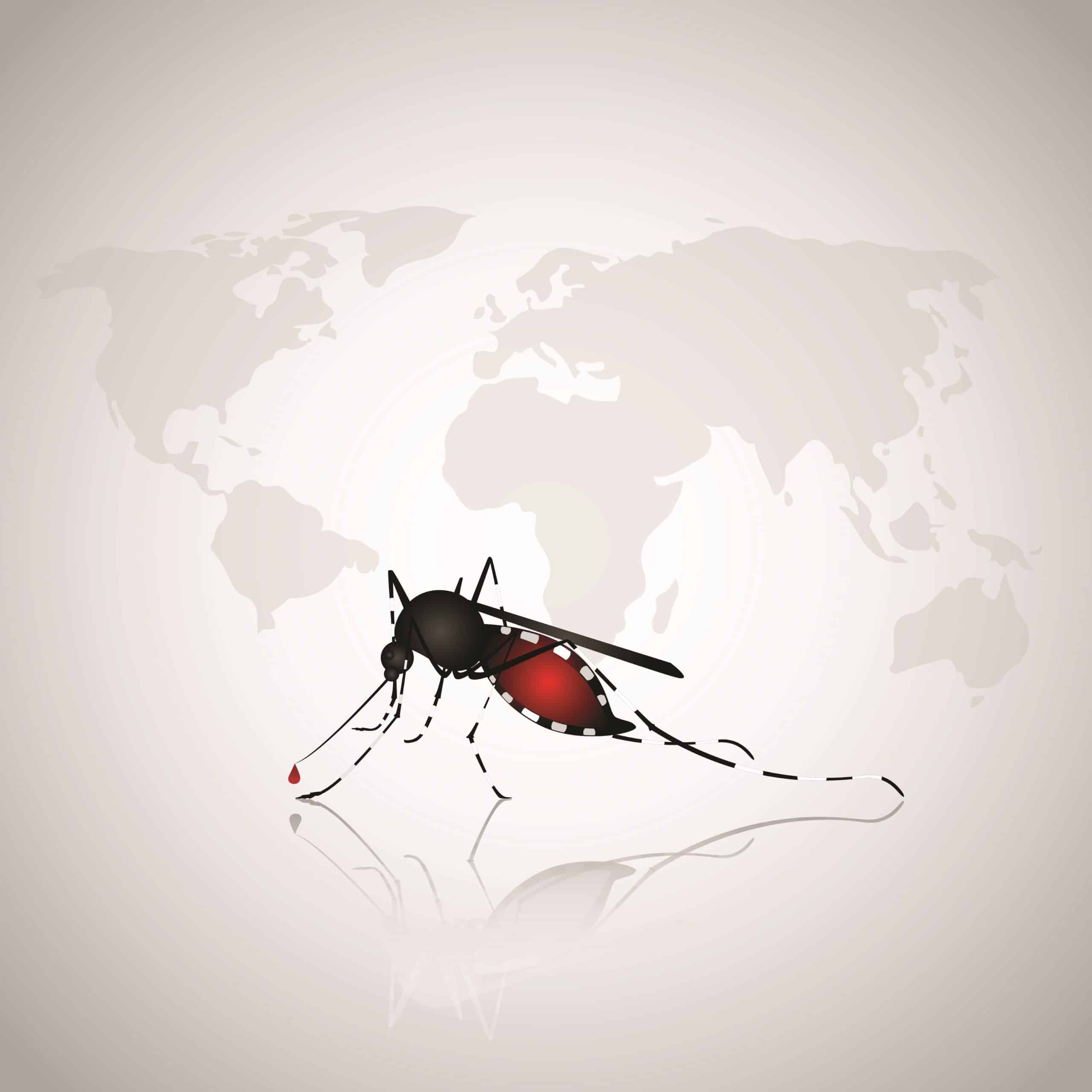 malaria estolääkitys